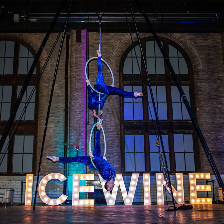 Niagara Icewine Festival Celebrate Canada’s Liquid Gold This Winter